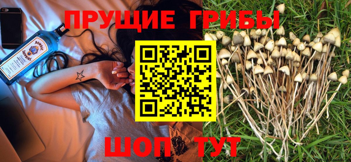 Каменск-Уральский  Галлюциногенные грибы Psilocybe  Вход с VPN  Псилоцибиновые грибы MAGIC MUSHROOMS 
