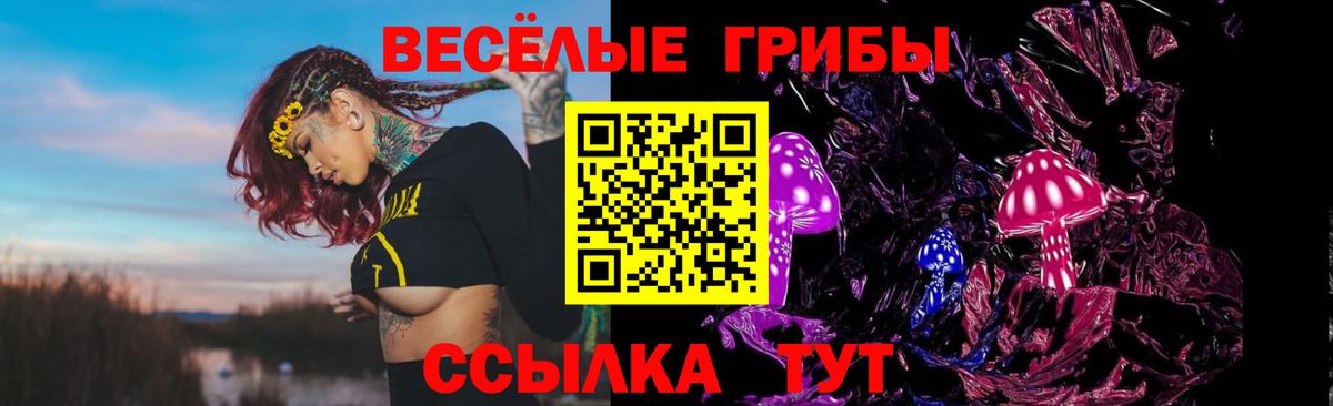 Галлюциногенные грибы Psilocybine cubensis Каменск-Уральский